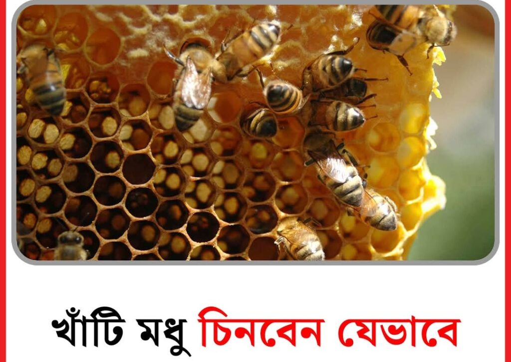 খাঁটি মধু চিনবেন যেভাবে