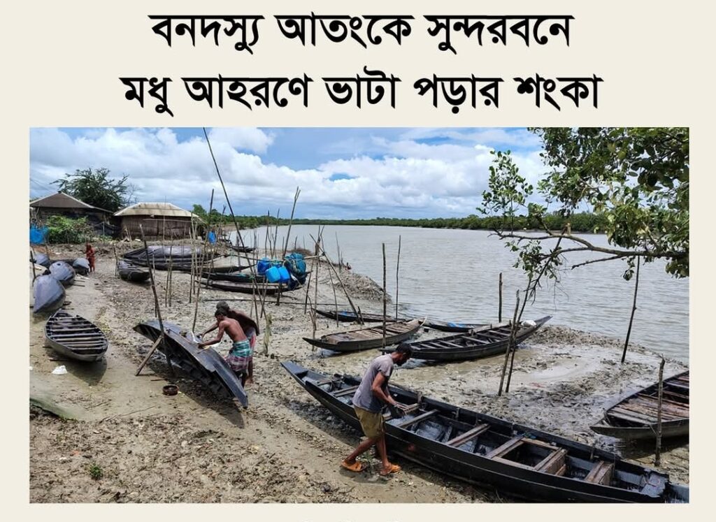 বনদস্যু আতংকে সুন্দরবনে মধু আহরণে ভাটা পড়ার শংকা